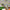 files/Cottage_Garden_Vintage_Cream_Blank_Roomset_10_WEB.jpg