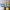 files/Eclectic_Eden_Brights_on_Vintage_Cream_LH900540_0230_WEB.webp