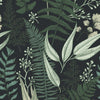 Forest Green Wallpaper