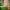 files/Strawberry_Fields_Forever_Peach_Strawberry_Red_and_Field_Green_LH900345_0201_WEB.webp